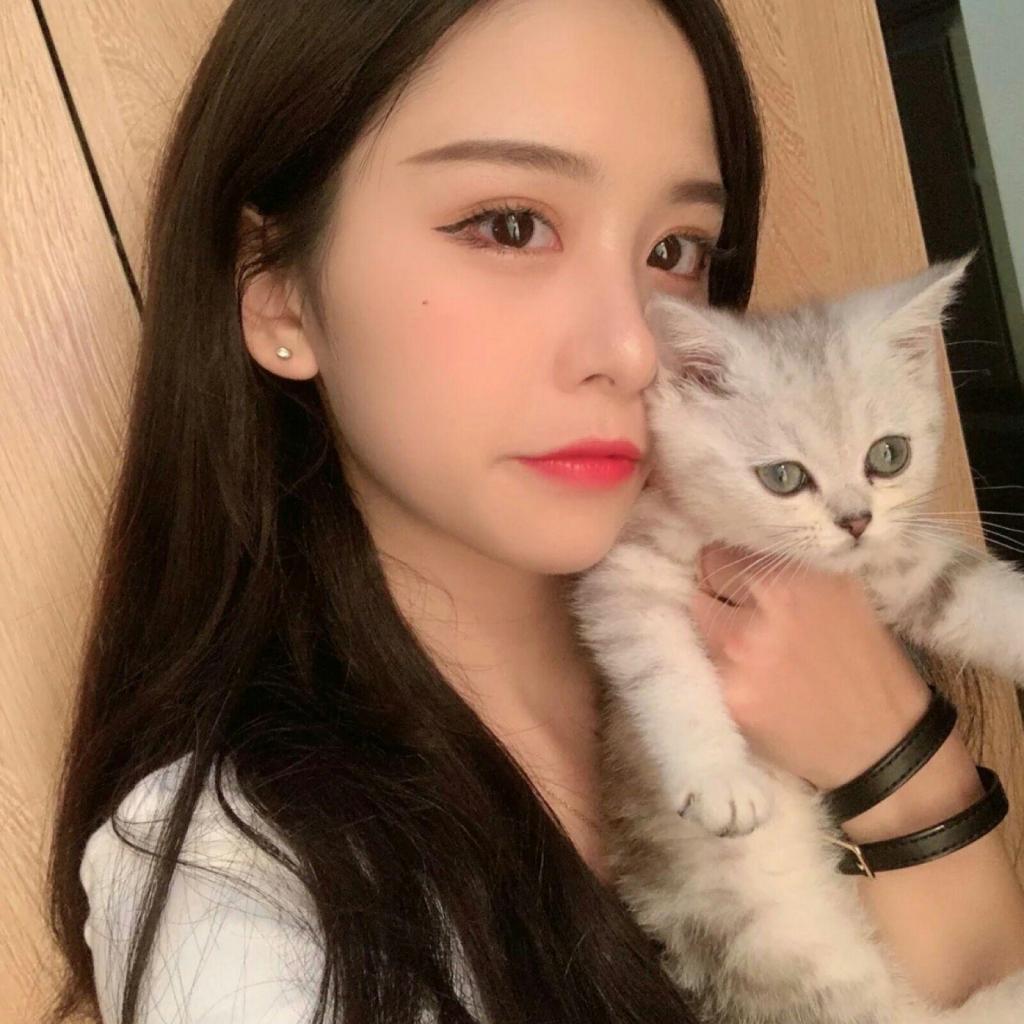 im电竞在线登录