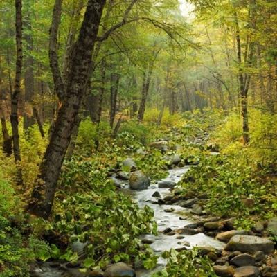 49图库资料免费大全资料澳门手机app下载截图