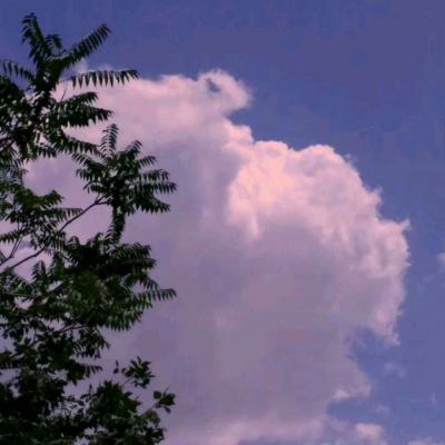 kok下载-登录入口截图