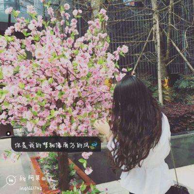 开元ky888网址进入下载